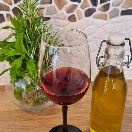 Alojamento de Acomodação e Pequeno-almoço Buzolic