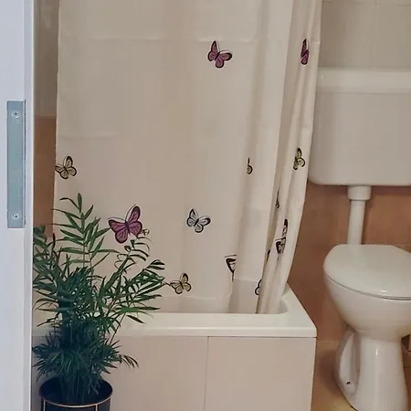 Alojamento de Acomodação e Pequeno-almoço Buzolic