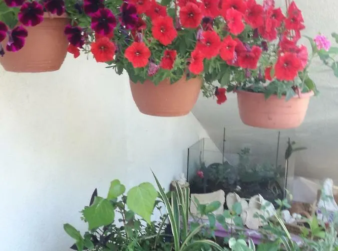 Buzolic Frühstückspension 3*