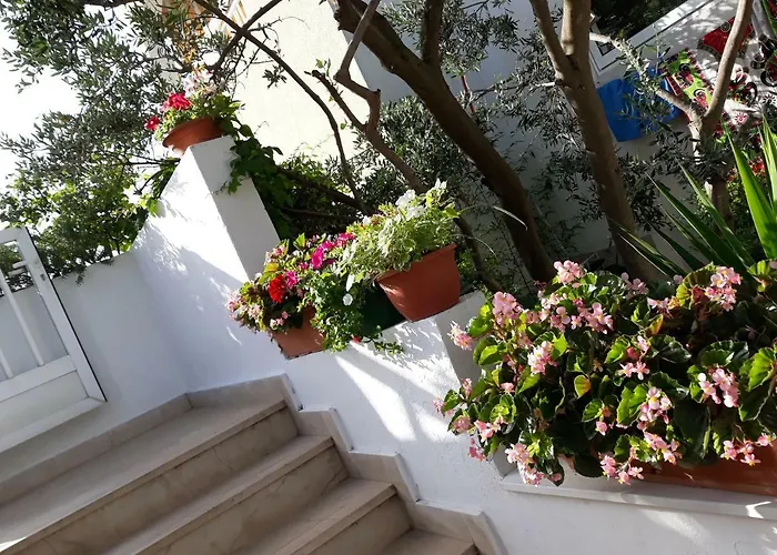 Frühstückspension Buzolic