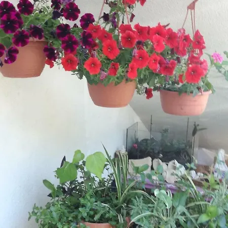 Buzolic Couette-café 3*