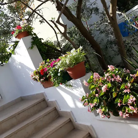 Bed & Breakfast Buzolic